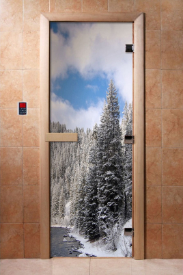 Стеклянные двери DoorWood с фотопечатью А095, коробка ольха